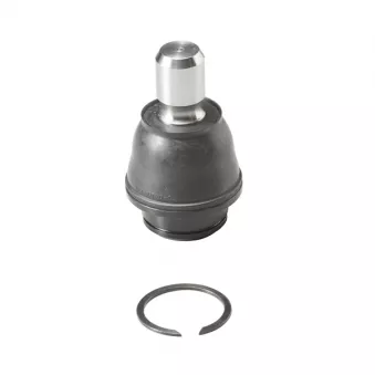 Rotule de suspension CTR CB0333