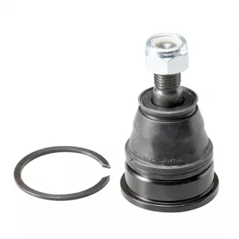 Rotule de suspension CTR