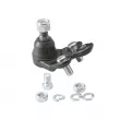 Rotule de suspension CTR CB0383R - Visuel 1