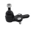 Rotule de suspension CTR CB0386L - Visuel 3