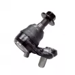 Rotule de suspension CTR CB0433 - Visuel 1