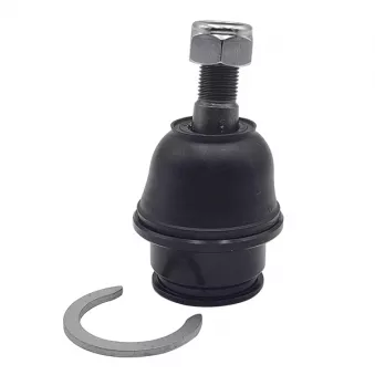 Rotule de suspension CTR