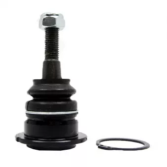 Rotule de suspension CTR CB0448