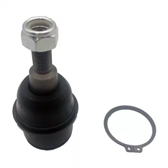 Rotule de suspension CTR CB0450