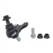Rotule de suspension CTR CB0493R - Visuel 1