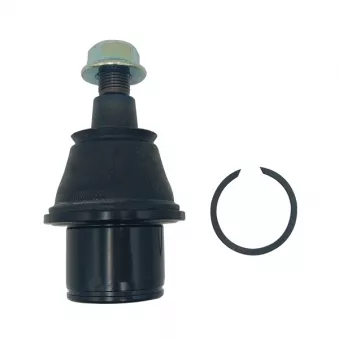 Rotule de suspension CTR CB0533
