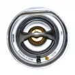 Thermostat d'eau CTR CW0007 - Visuel 2