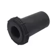 Coussinet de palier, ressort à lames CTR GV0332 - Visuel 1