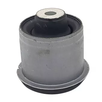 Suspension, corps de l'essieu CTR GV0539