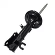 Amortisseur avant droit CTR GY0287G - Visuel 2