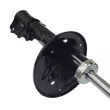 Amortisseur arrière droit CTR GY0589G - Visuel 3