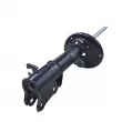 Amortisseur arrière droit CTR GY0733G - Visuel 2
