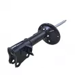 Amortisseur arrière gauche CTR GY0739G - Visuel 2