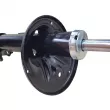 Amortisseur arrière gauche CTR GY0739G - Visuel 3