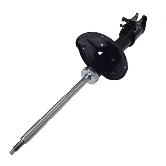 Amortisseur arrière droit CTR GY1118G