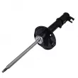 Amortisseur arrière droit CTR GY1154G - Visuel 1
