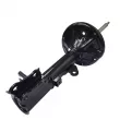 Amortisseur arrière gauche CTR GY1236G - Visuel 2