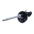 Amortisseur avant droit CTR GY1239G - Visuel 1