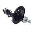 Amortisseur arrière gauche CTR GY1242G - Visuel 3
