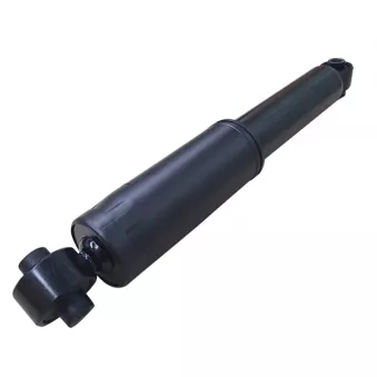 Jeu de 2 amortisseurs arrière CTR GY1248G