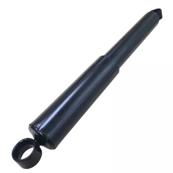 Jeu de 2 amortisseurs arrière CTR GY1274G