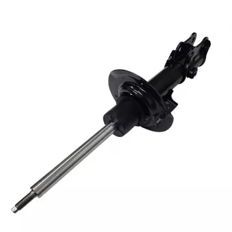 Amortisseur avant droit CTR GY1293G