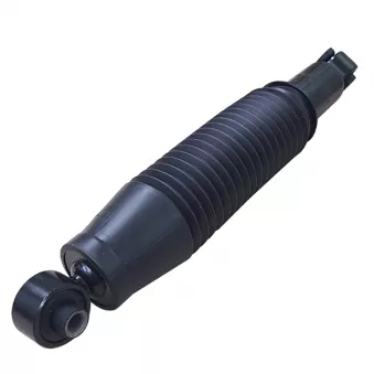 Jeu de 2 amortisseurs arrière CTR GY1371G