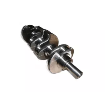 Vilebrequin OE 0501N8