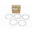 Jeu de segments de pistons OE 120339614R - Visuel 1