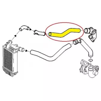 Tuyau d'aspiration, alimentation d'air OE 1337346080