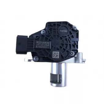 Vanne EGR OE 147101246R