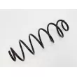 Ressort de suspension OE 5102CT - Visuel 2