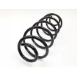 Ressort de suspension OE 5102CT - Visuel 3
