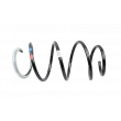 Ressort de suspension OE 540100022R - Visuel 1