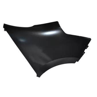 Aile avant droit OE 631001746R