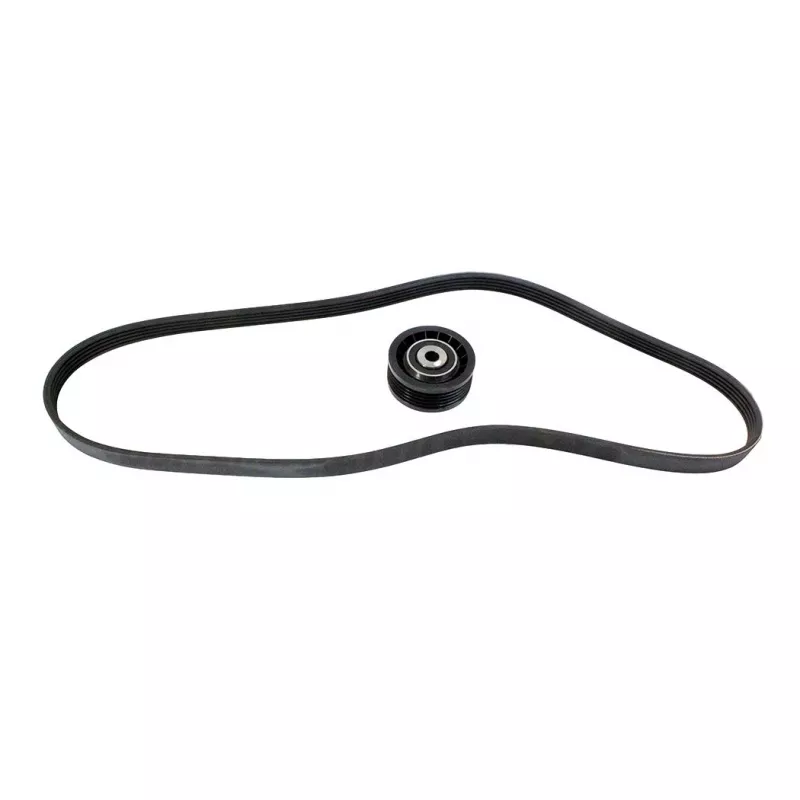 Jeu de courroies trapézoïdales à nervures OE 7701477581