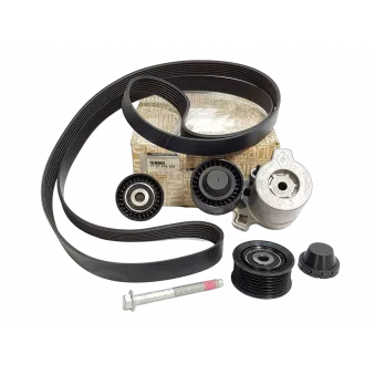 Kit de courroie d'accessoires OE 7701479032