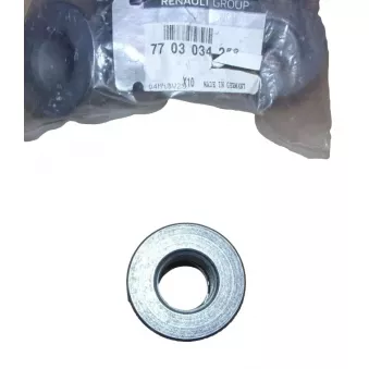 Écrou, bout d'essieu OE 7703034250