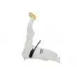 Réservoir d'eau de nettoyage, nettoyage des vitres OE 8200146985 - Visuel 1