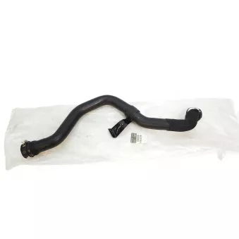 Gaine de suralimentation OE 8200252995