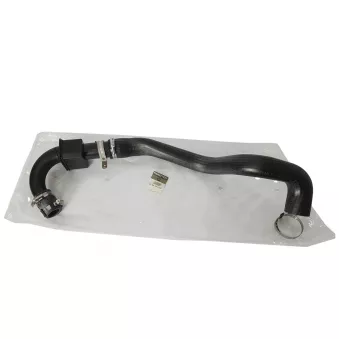 Gaine de suralimentation OE 8200398421