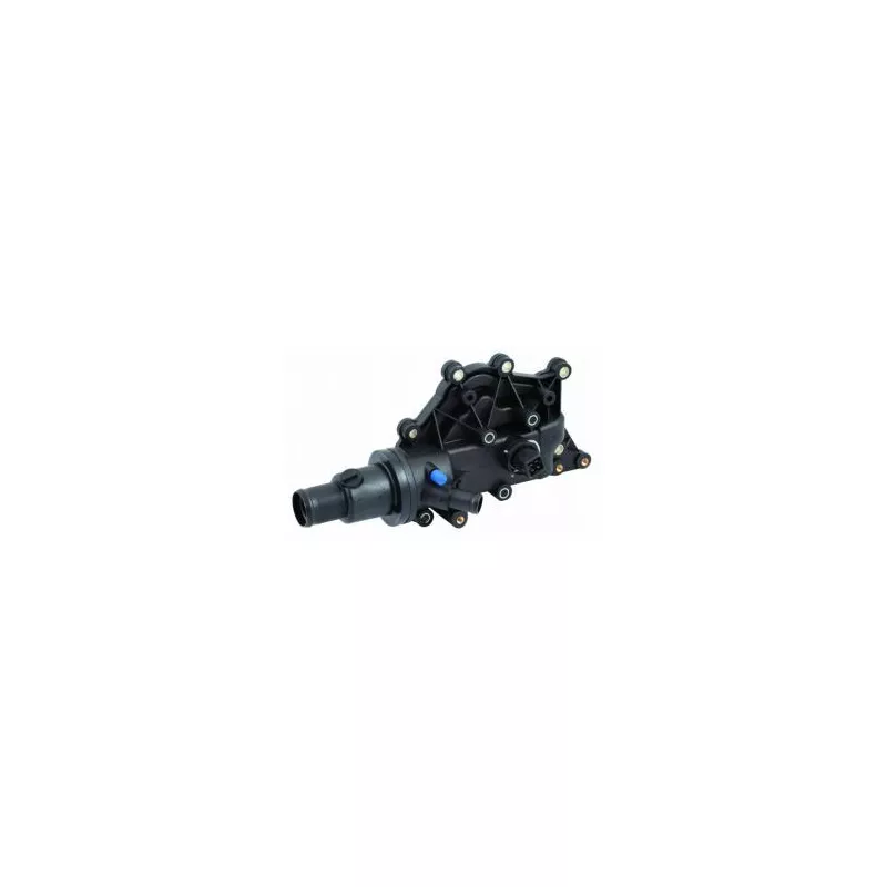 Thermostat d'eau OE 8200557693