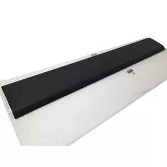 Baguette et bande protectrice, panneau latérale avant gauche OE 828210159R