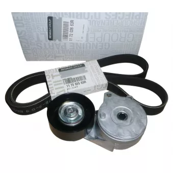 Jeu de courroies trapézoïdales OE 117202663R