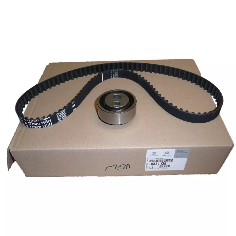 Kit de distribution OE 0831Q5