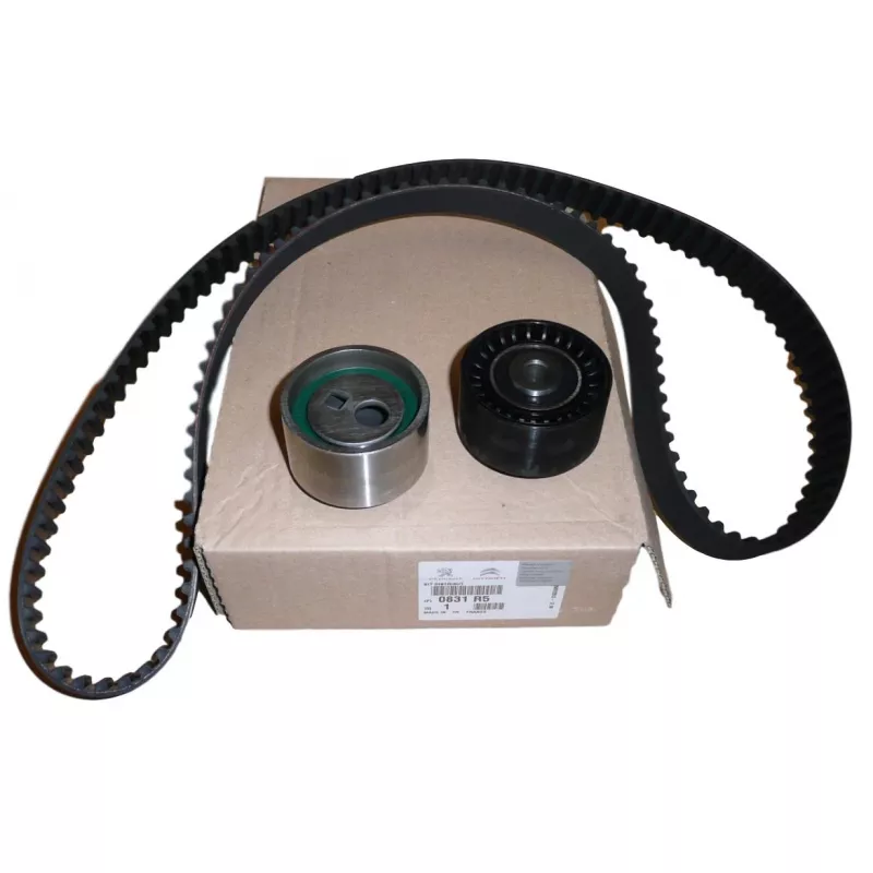 Kit de distribution OE 0831R5