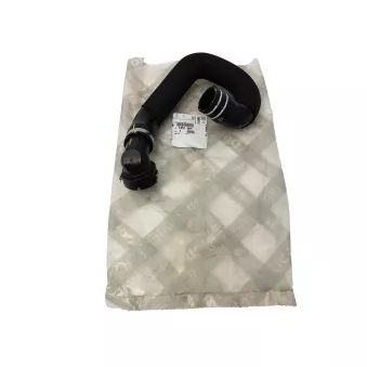 Tuyau de radiateur OE 1351WH