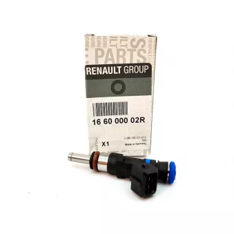 Injecteur OE 166000002R