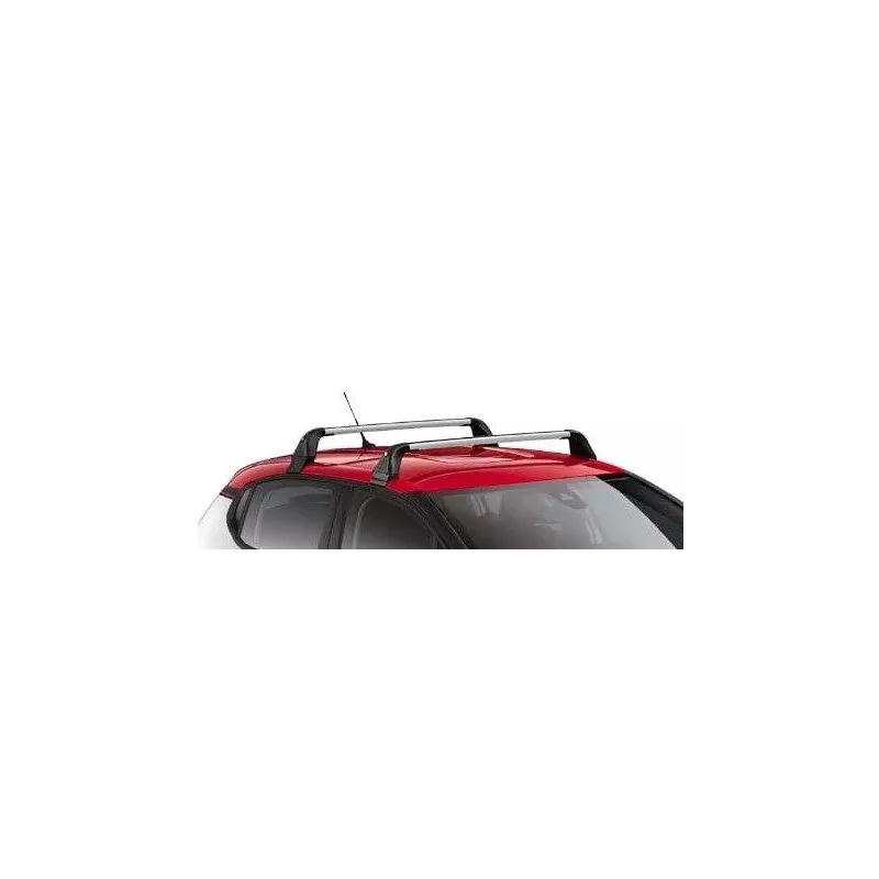 Barre de toit OE 1613434380