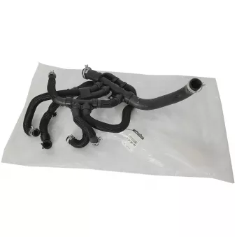 Tuyau de radiateur OE 215038518R